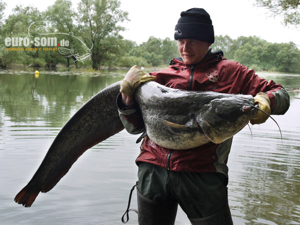 сом на буёк сом на буёк